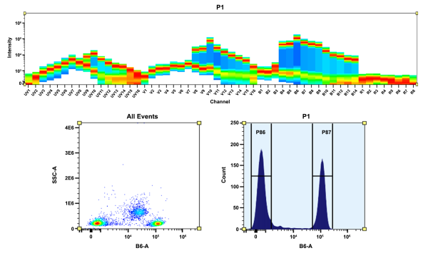 Buccutite(TM) Rapid PE Antibody Labeling Kit *Production Scale Optimized for Labeling 1 mg Antibody