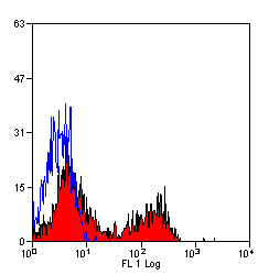 Anti-CD163, clone 2A10/11