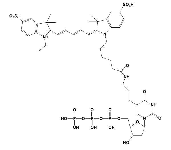 Sulfo-Cyanine5 dUTP