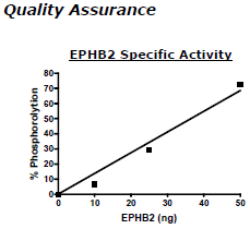 EphB2, active human recombinant protein