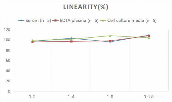 Rat HMGB-1 (High Mobility Group Protein B1) CLIA Kit
