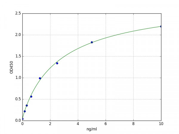 Human CYP19A1 / Aromatase ELISA Kit