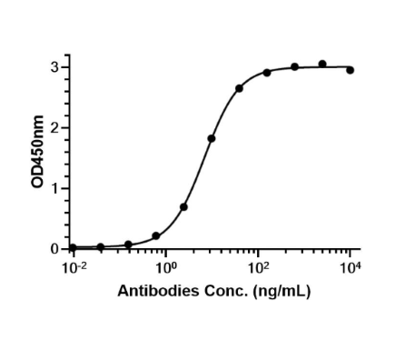 Spesolimab (Anti-IL36R Antibody)
