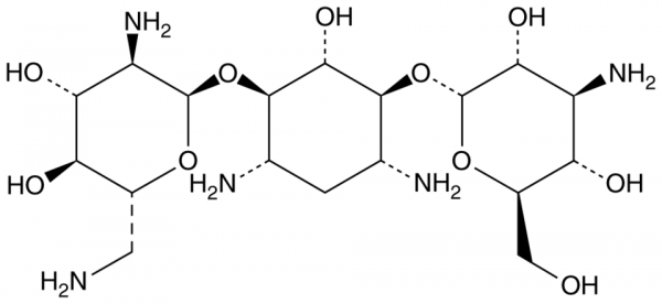 Kanamycin B
