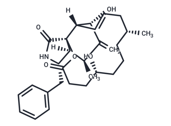 Dihydrocytochalasin B