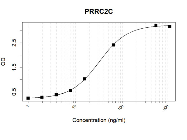 Anti-Human PRRC2C Antibody Pair