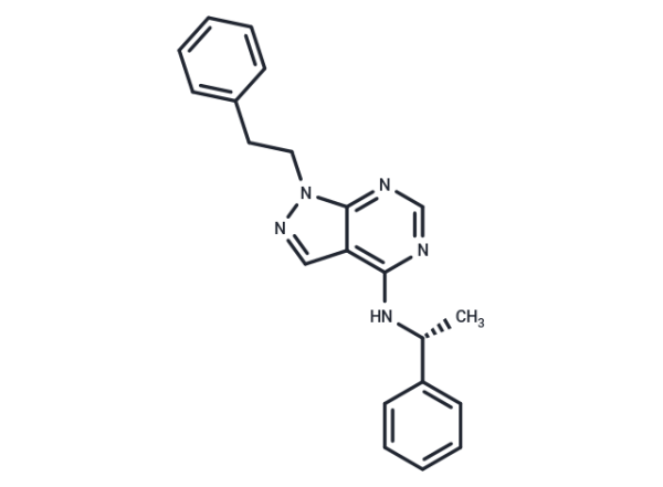 CLM3
