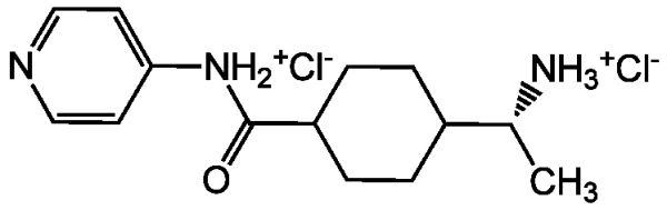 Y-27632 . dihydrochloride