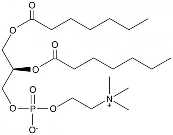 1,2-Diheptanoyl-sn-glycero-3-PC