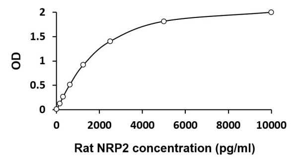 Rat NRP2 ELISA Kit