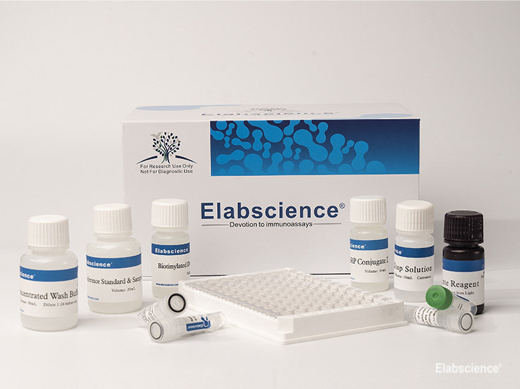 Monkeypox Virus (MPXV) IgG ELISA Kit Elabscience