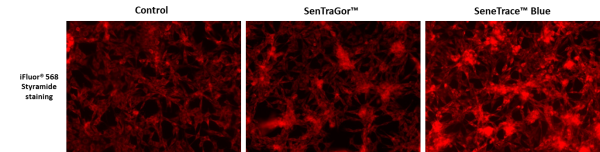 SeneTrace(TM) Blue