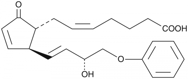 16-phenoxy tetranor Prostaglandin A2