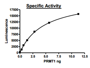 PRMT1 (expressed Sf9), active human recombinant protein