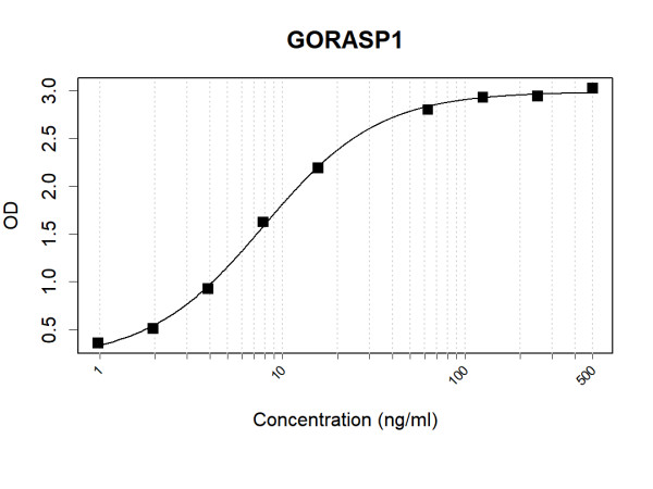 Anti-Human GRASP65 Antibody Pair