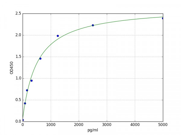 Human CASP5(Caspase-5) ELISA Kit