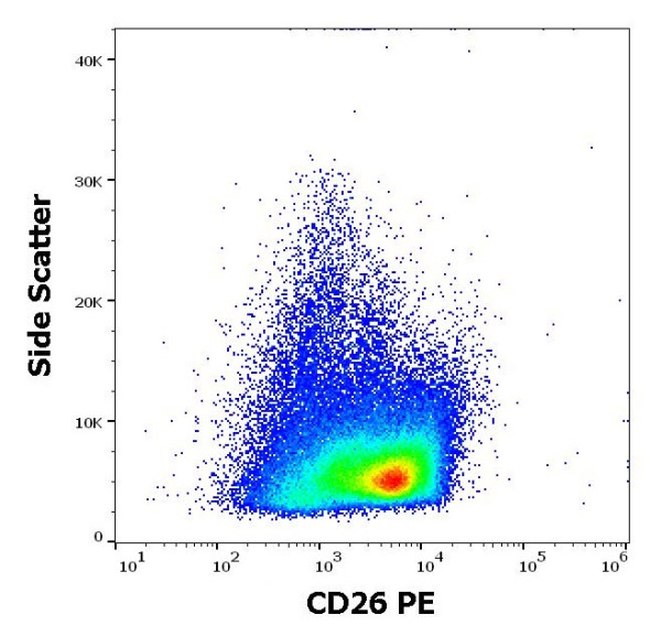 Anti-CD26 / DPP4 (PE), clone H194-112