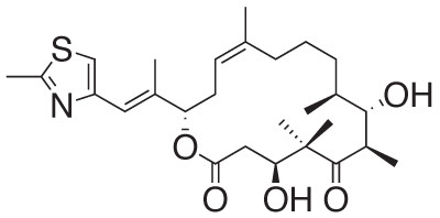 Epothilone D