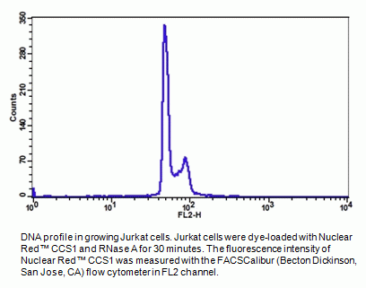 Cell Meter(TM) Fluorimetric Cell Cycle Assay Kit *Red Fluorescence Optimized for Flow Cytometry*