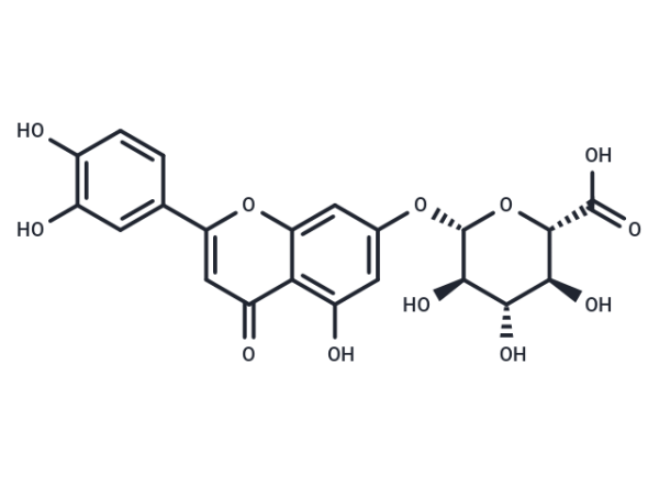 Luteolin 7-O-glucuronide