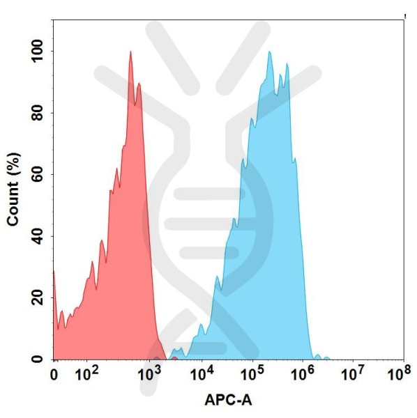 Anti-CD19(FMC63 biosimilar) mAb