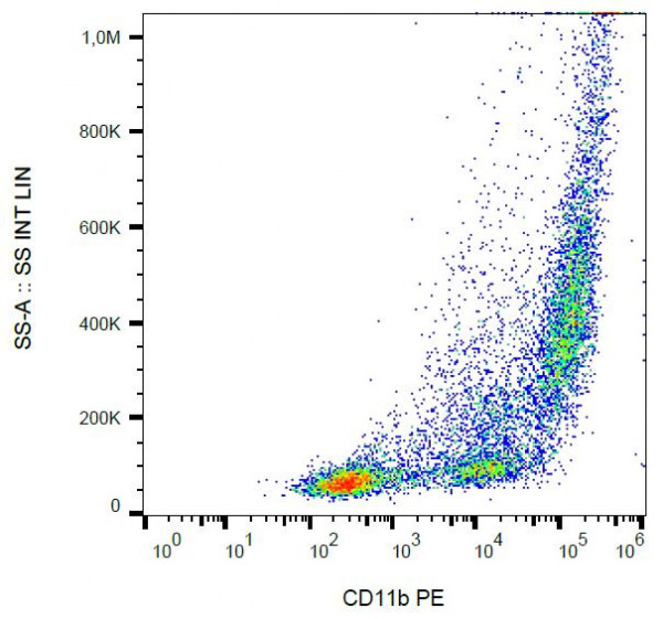 Anti-CD11b (Actived) (PE), clone CBRM1/5