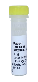 Recombinant Protein (TL1A), tnfsf15 rabbit (rtnTNFSF15)