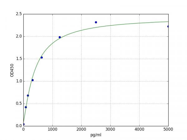 Human CXADR ELISA Kit