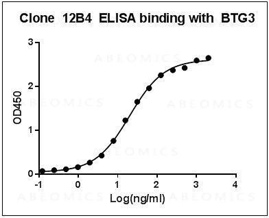 Anti-Mouse Monoclonal Antibody to Human BTG3 (Clone: 12B4)