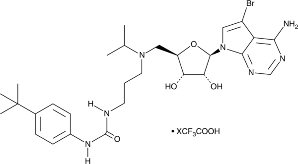SGC0946 (trifluoroacetate salt)