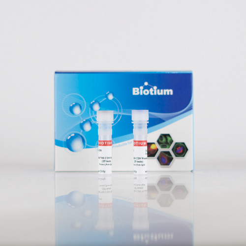 ExoBrite(TM) 680/700 Anti-CD9 Western Antibody (100 tests)
