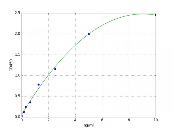 Mouse LAT ELISA Kit