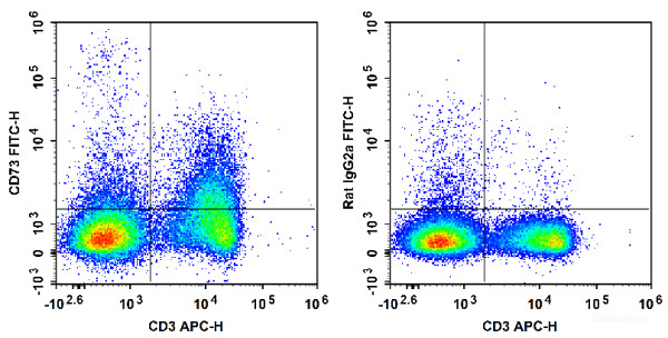 Anti-Mouse CD73, FITC conjugated, clone TY/23