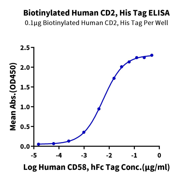 Biotinylated Human CD2/SRBC Protein