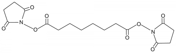 Disuccinimidyl Suberate