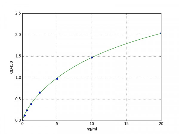 Human BMPR1A / ALK3 ELISA Kit