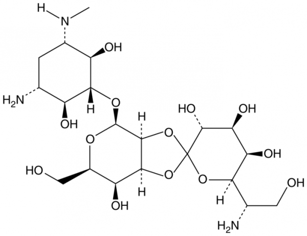 Hygromycin B (hydrate)