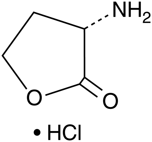 L-Homoserine lactone (hydrochloride)