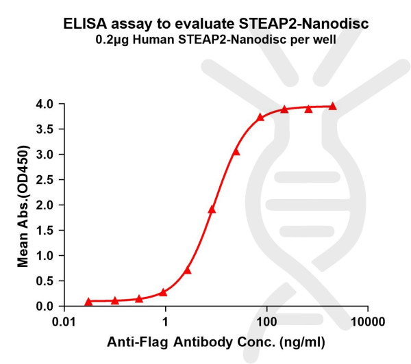 STEAP2 (human) full length protein-synthetic nanodisc