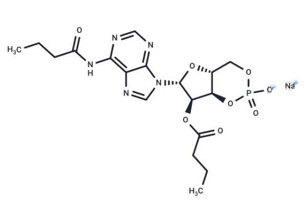 Bucladesine sodium
