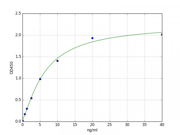 Human COX-1 / PTGS1 ELISA Kit