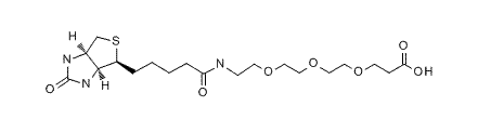 Biotin-PEG3-Acid