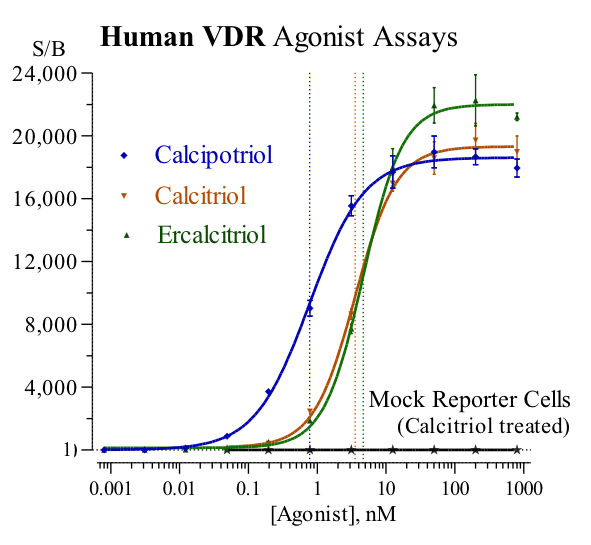 VDR (human) Reporter Assay Kit