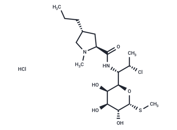 Clindamycin hydrochloride