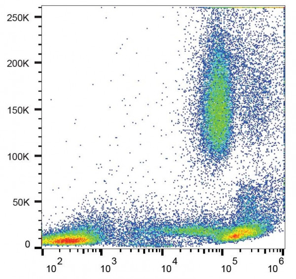 Anti-CD44, clone MEM-85