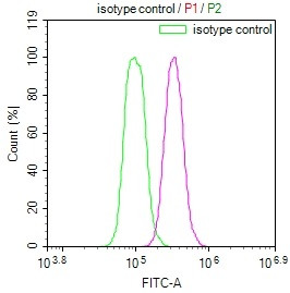 Anti-LDHC Recombinant Monoclonal, clone 9F2