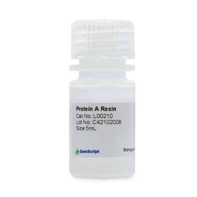 Protein A Resin