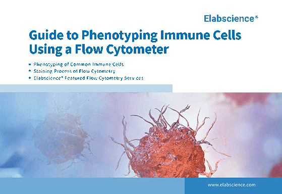 Guide to Phenotyping Immune Cells Using a Flow Cytometer