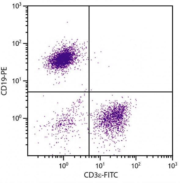 Anti-CD3, clone 145-2C11 (FITC)