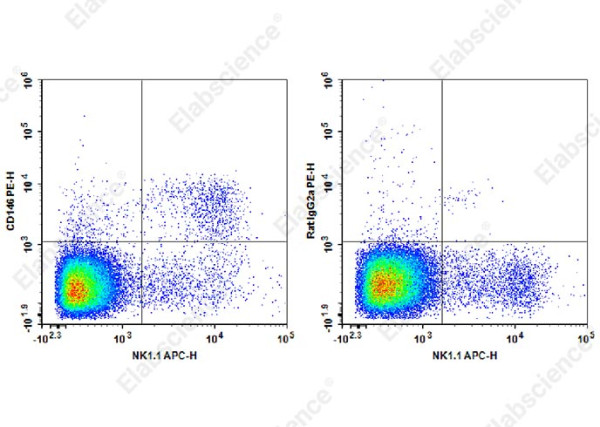 PE Anti-Mouse CD146 Antibody[ME-9F1]